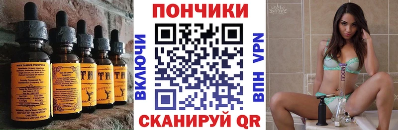 Купить  Шуя  Cannafood конопля 