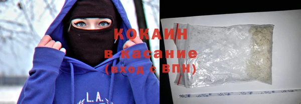 крисы Осинники