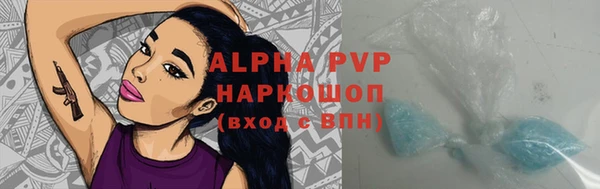 крисы Осинники
