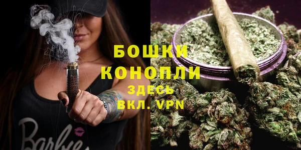 крисы Осинники