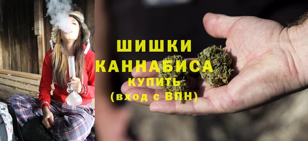 крисы Осинники