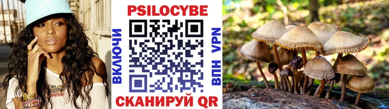 Галлюциногенные грибы ЛСД  Купить закладки  Шуя 